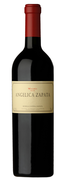 ANGELICA ZAPATA