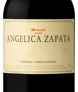 ANGELICA ZAPATA