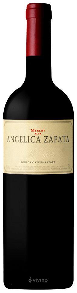 ANGELICA ZAPATA