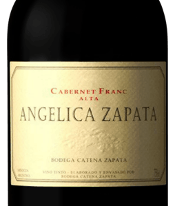 ANGELICA ZAPATA
