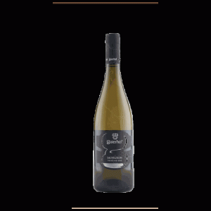 SAUVIGNON TRENTINO DOC GAIERHOF