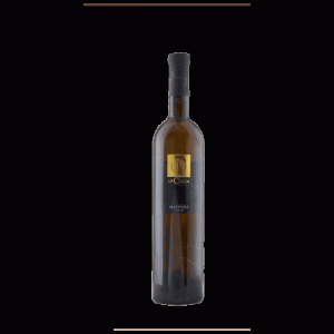 MALVASIA DOC LA CIOCCA