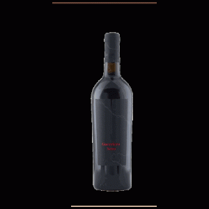 GUERRIERO NERO IGT MARCHE ROSSO